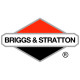 Двигатели Briggs-Stratton в
